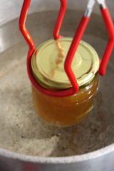 citrus marinade